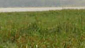 PRIME LAND FOR SALE NEAR JKUAT Nairobi